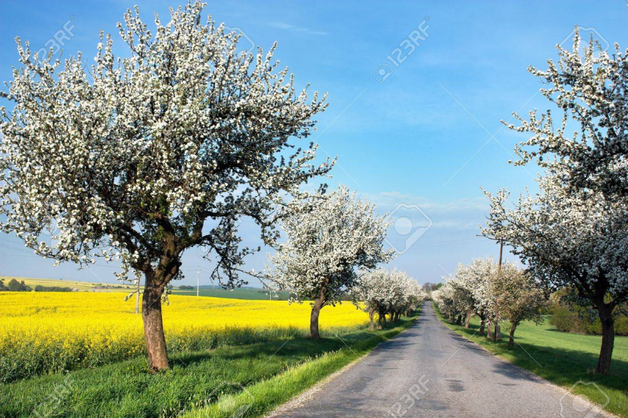 Frühling
